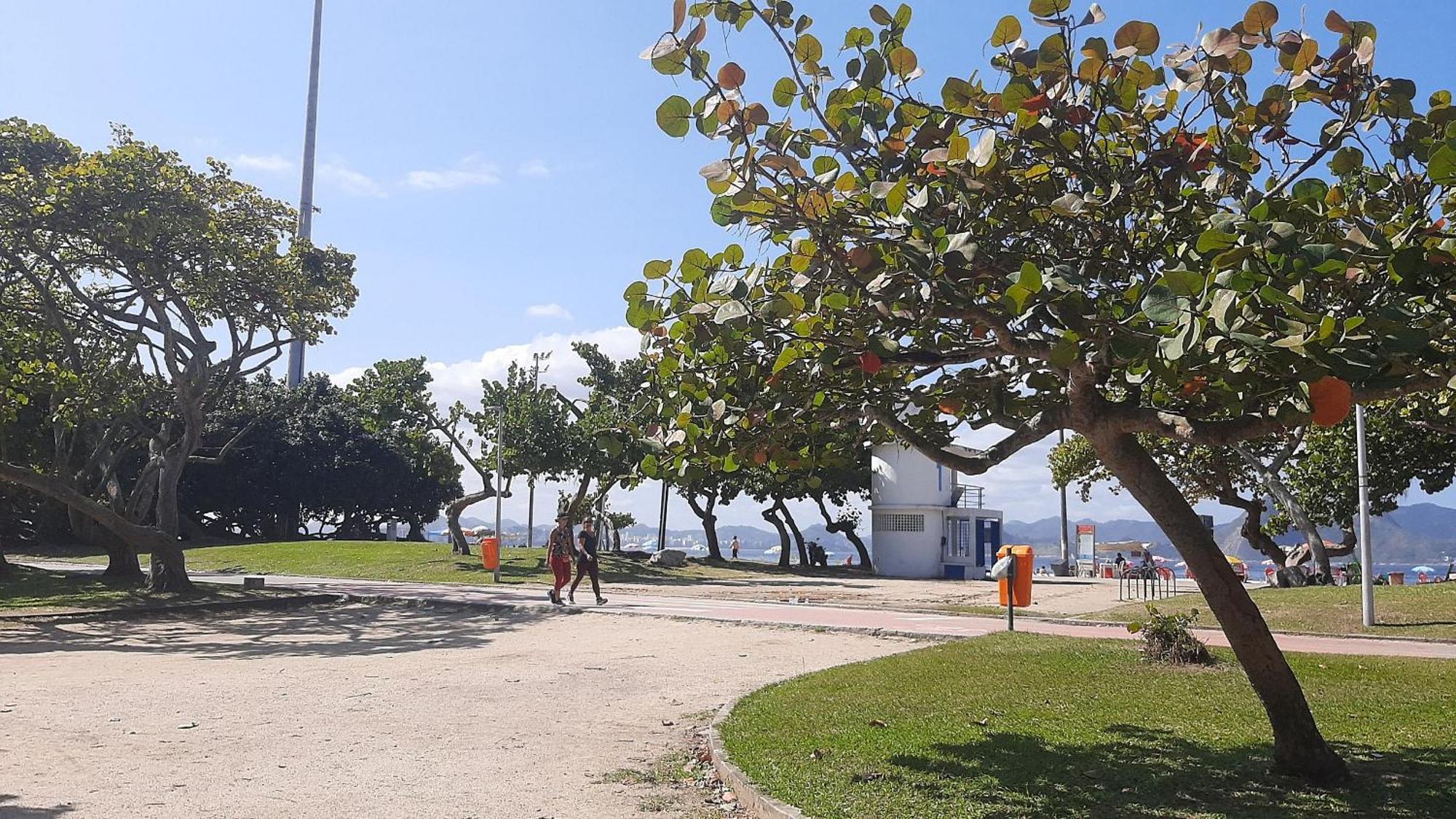 Apartment Flamengo Design - 4 Hospedes, Privativo E Completo *
